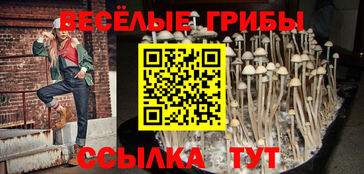 Псилоцибиновые грибы Psilocybine cubensis Ростов-на-Дону