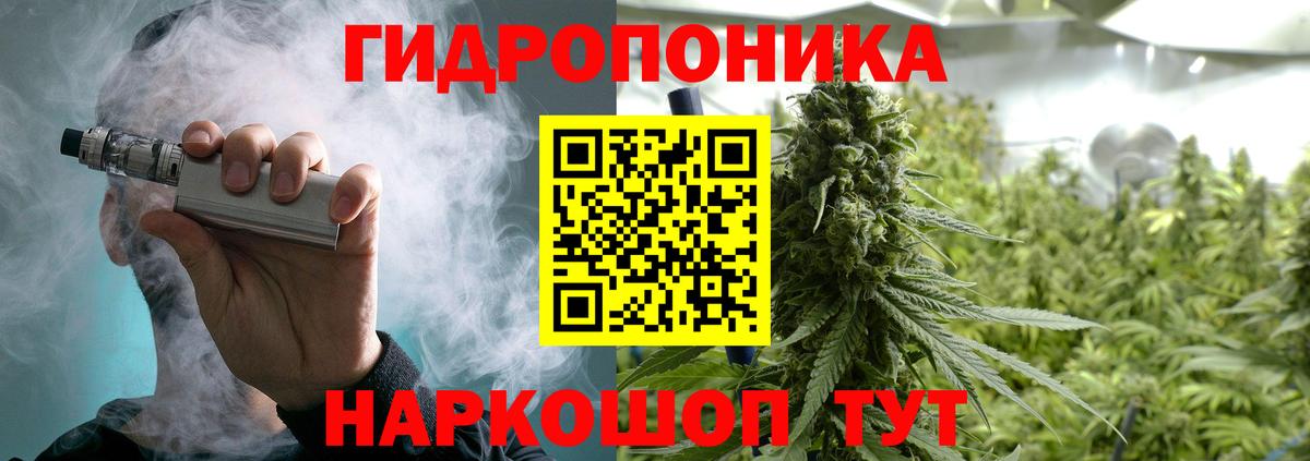 Каннабис планчик  Канабис планчик  Вход с VPN  Бошки Шишки OG Kush  Ростов-на-Дону 